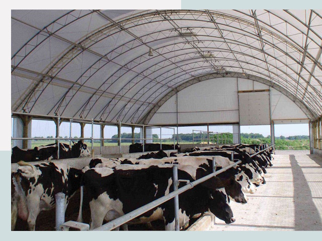 Тентовые коровники в Саратове